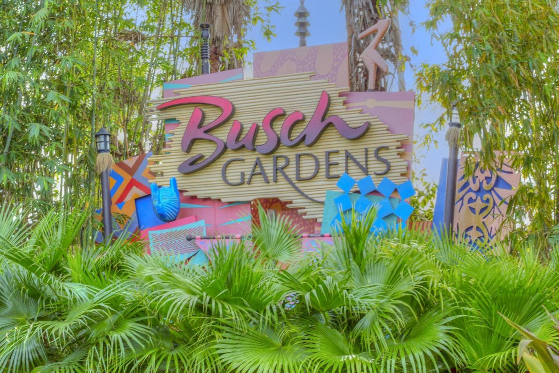 100 - Las Brisas セント・ピート・ビーチ エクステリア 写真